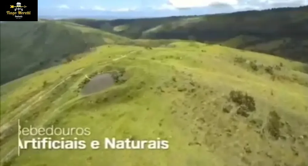 Fazenda, 1238 hectares - Foto 19