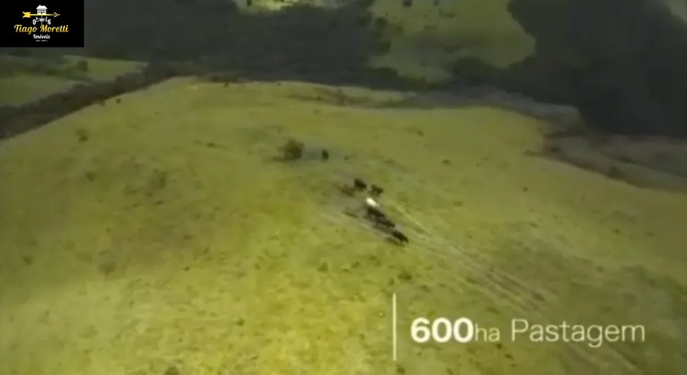 Fazenda, 1238 hectares - Foto 17