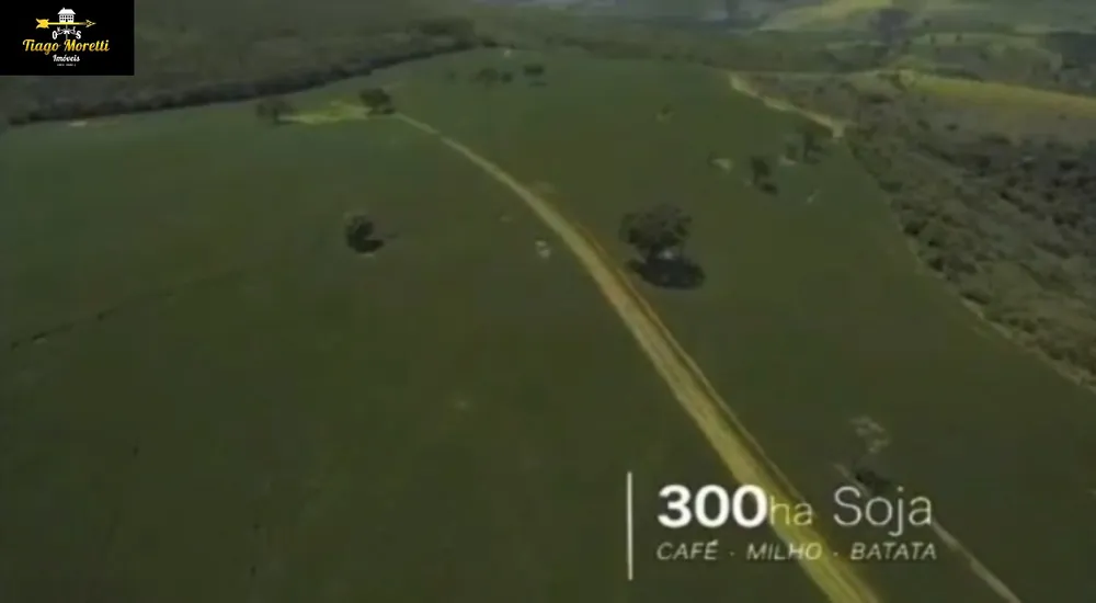Fazenda, 1238 hectares - Foto 16