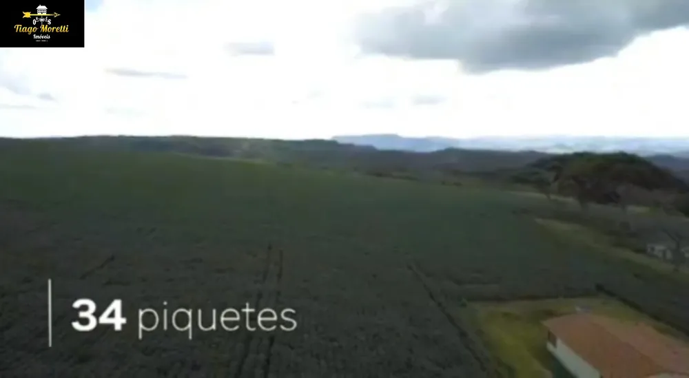 Fazenda, 1238 hectares - Foto 15