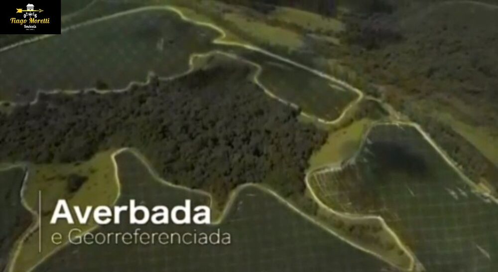 Fazenda, 1238 hectares - Foto 8