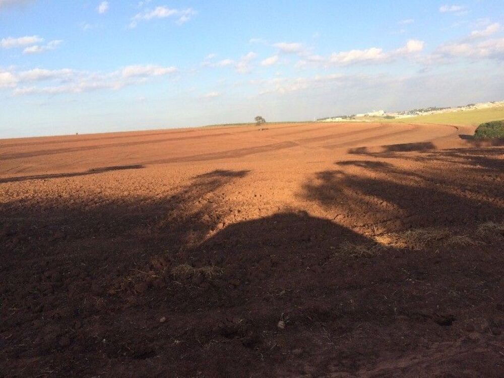 Terreno, 63 hectares - Foto 2