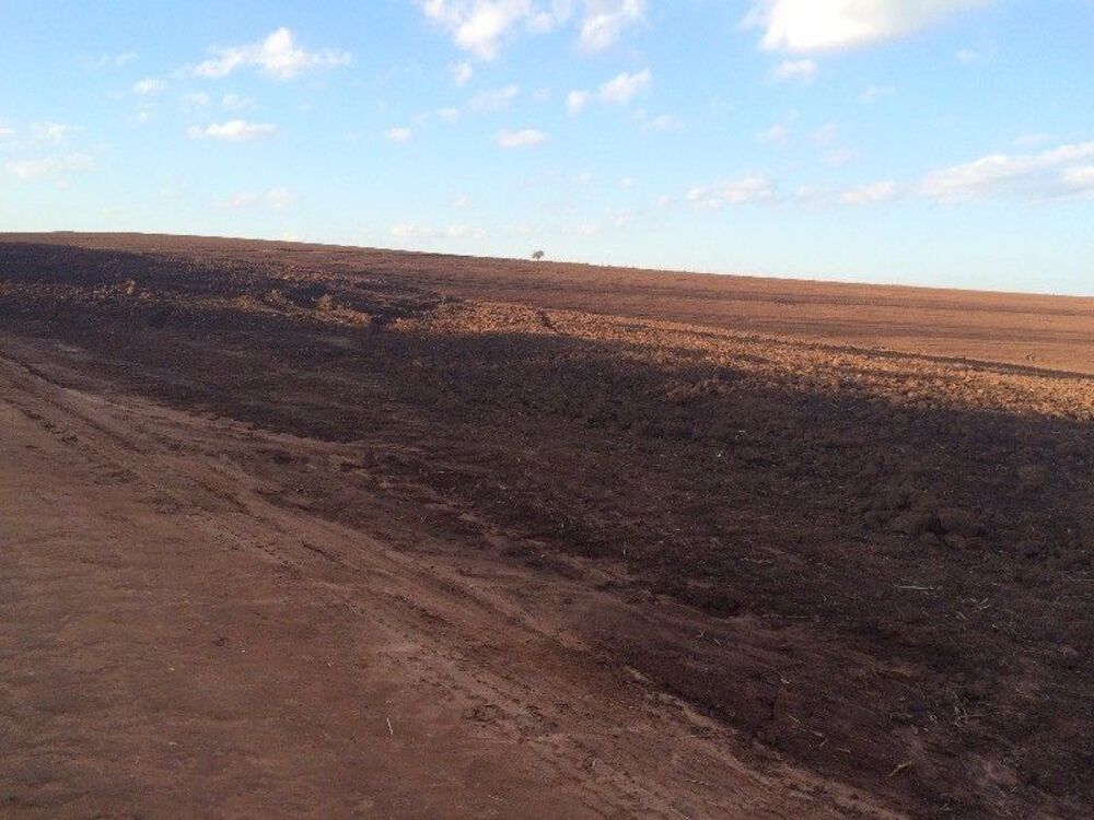 Terreno, 63 hectares - Foto 5