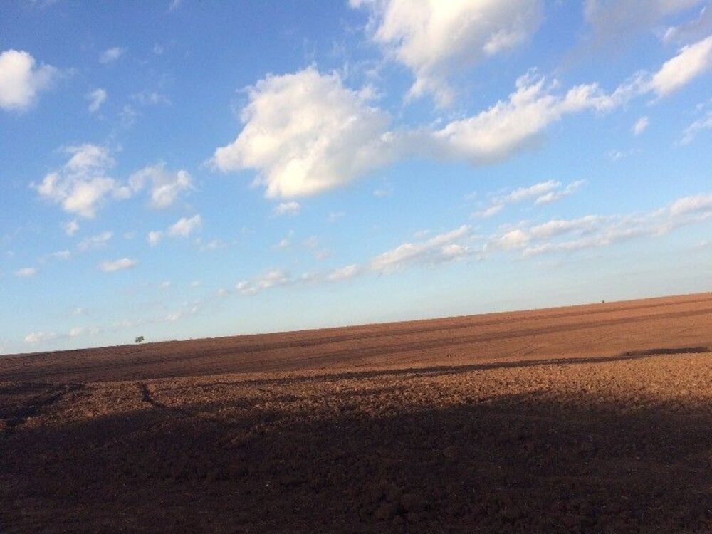 Terreno, 63 hectares - Foto 4