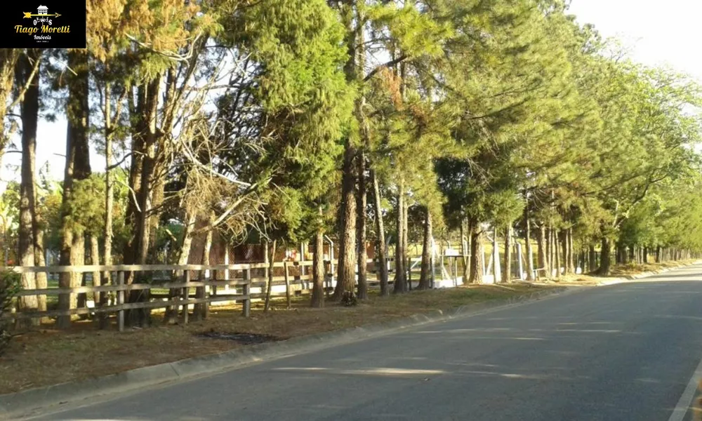 Fazenda, 4 quartos - Foto 6
