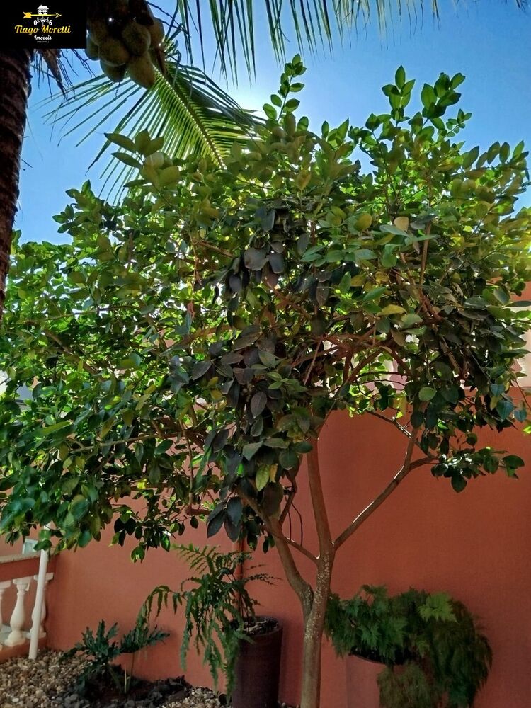 Chácara à venda com 3 quartos - Foto 6