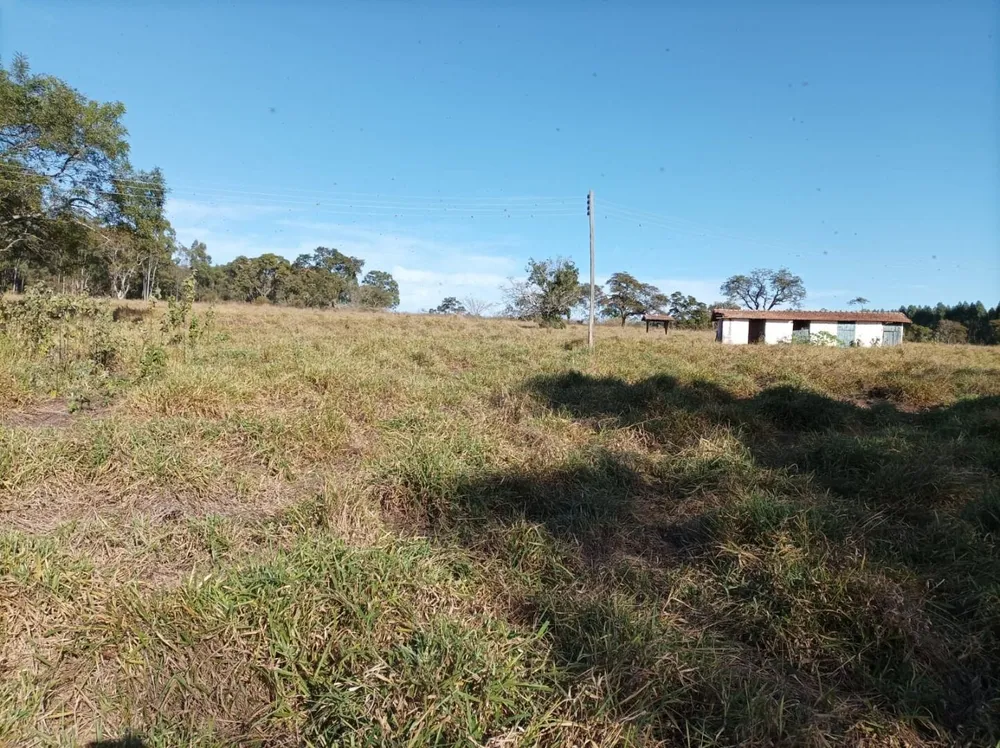 Fazenda, 131 hectares - Foto 13