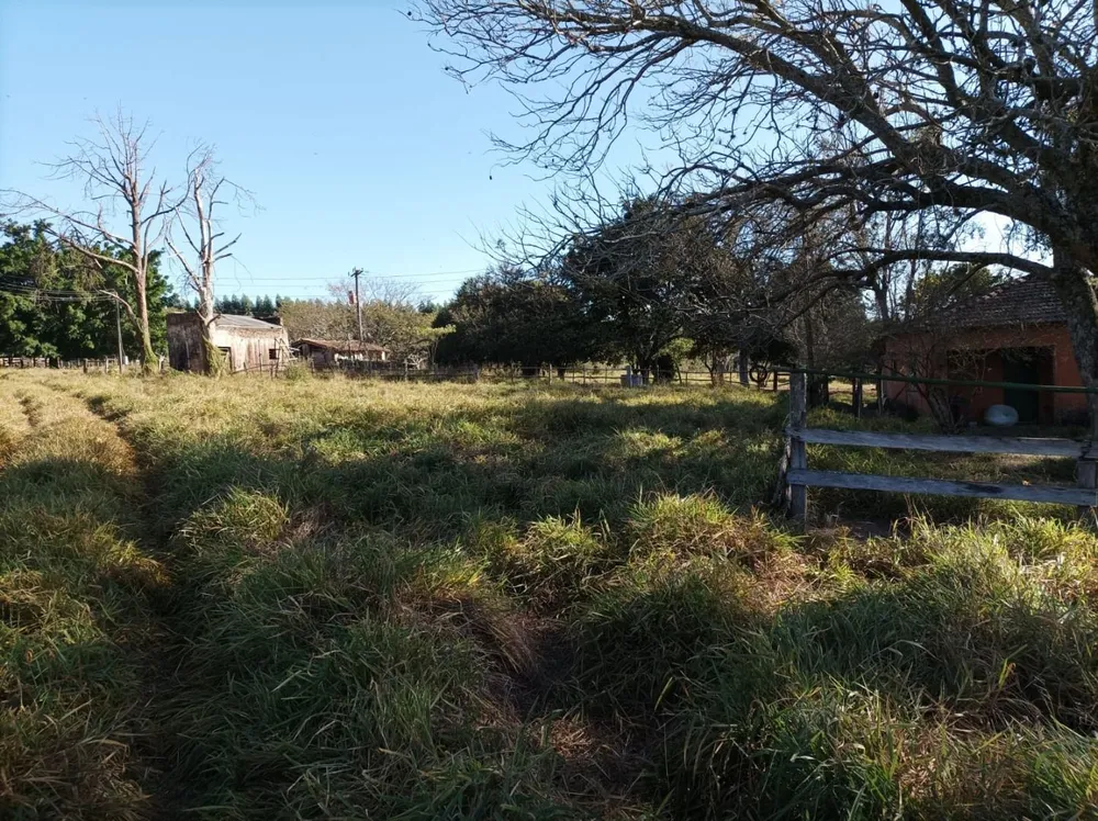 Fazenda, 131 hectares - Foto 10