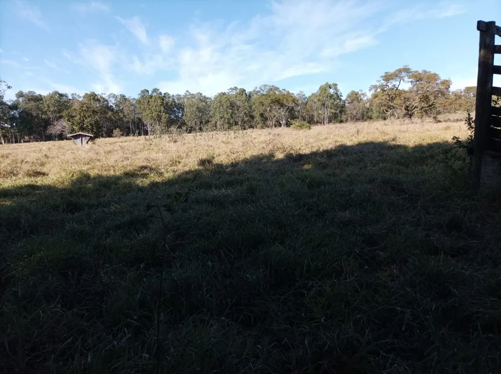 Fazenda, 131 hectares - Foto 15
