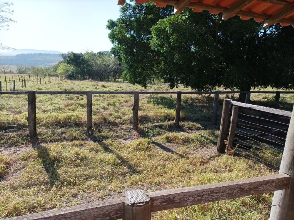 Fazenda, 131 hectares - Foto 3