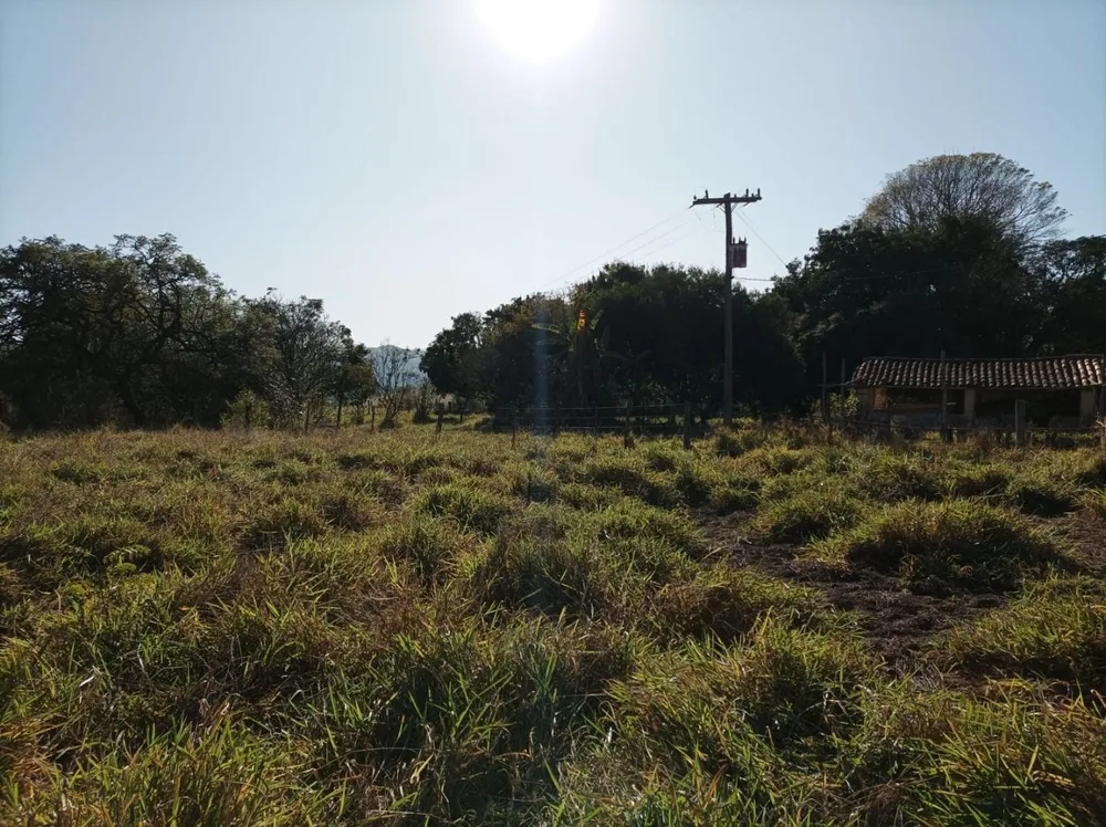 Fazenda, 131 hectares - Foto 11