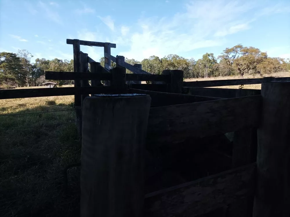 Fazenda, 131 hectares - Foto 6