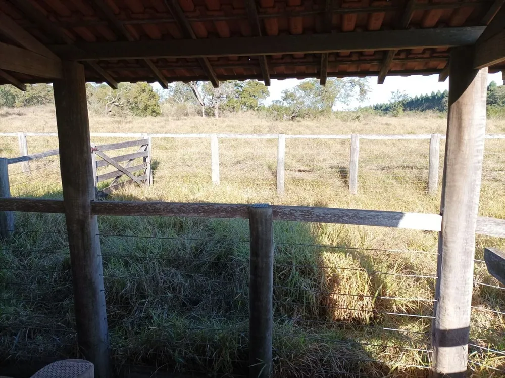 Fazenda, 131 hectares - Foto 14