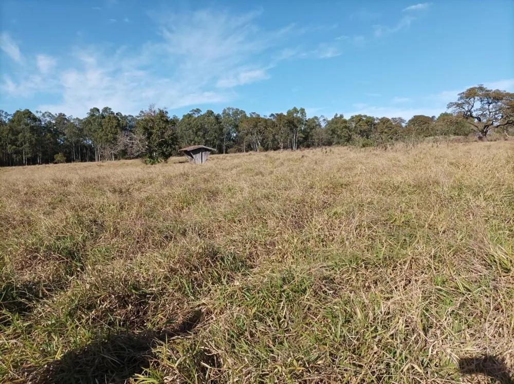 Fazenda, 131 hectares - Foto 9