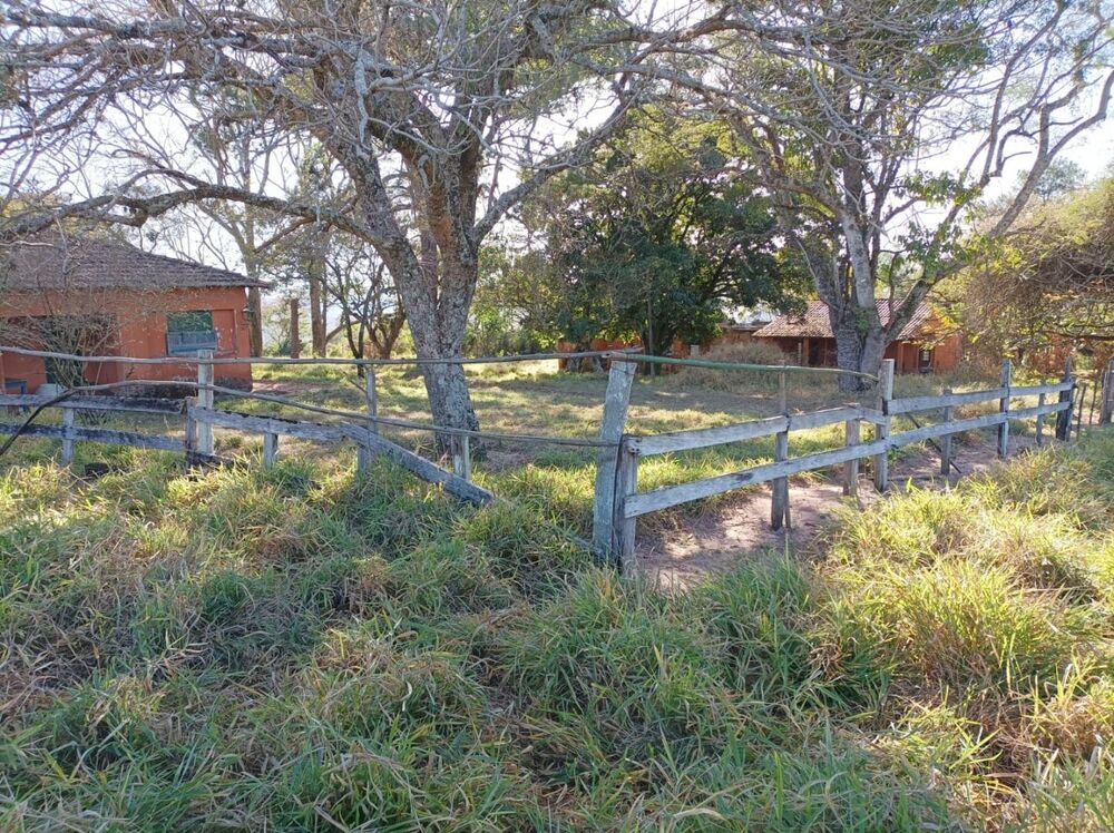 Fazenda, 131 hectares - Foto 1