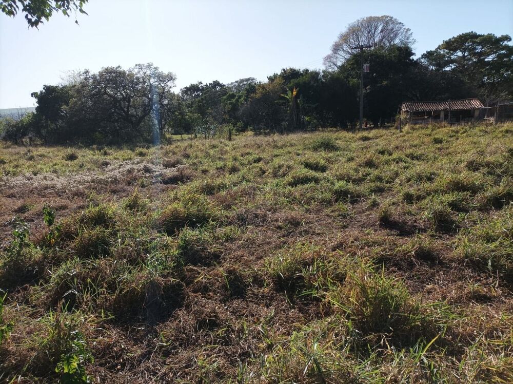 Fazenda, 131 hectares - Foto 4