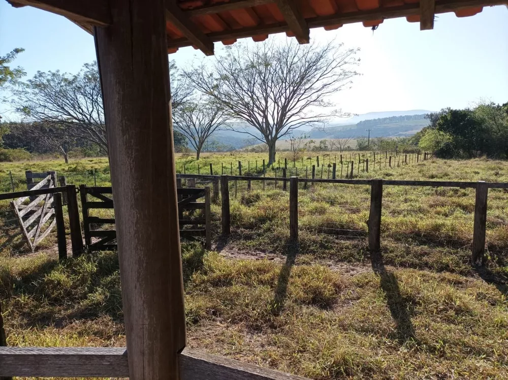 Fazenda, 131 hectares - Foto 8