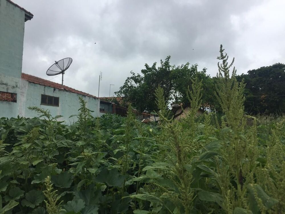 Terreno, 240 m² - Foto 2