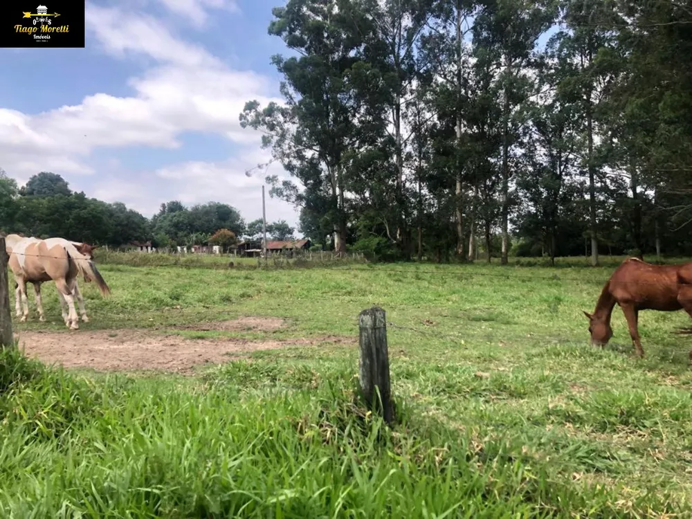 Sítio, 4 quartos - Foto 5