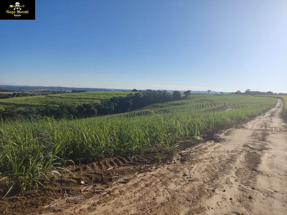 Fazenda - Foto 9