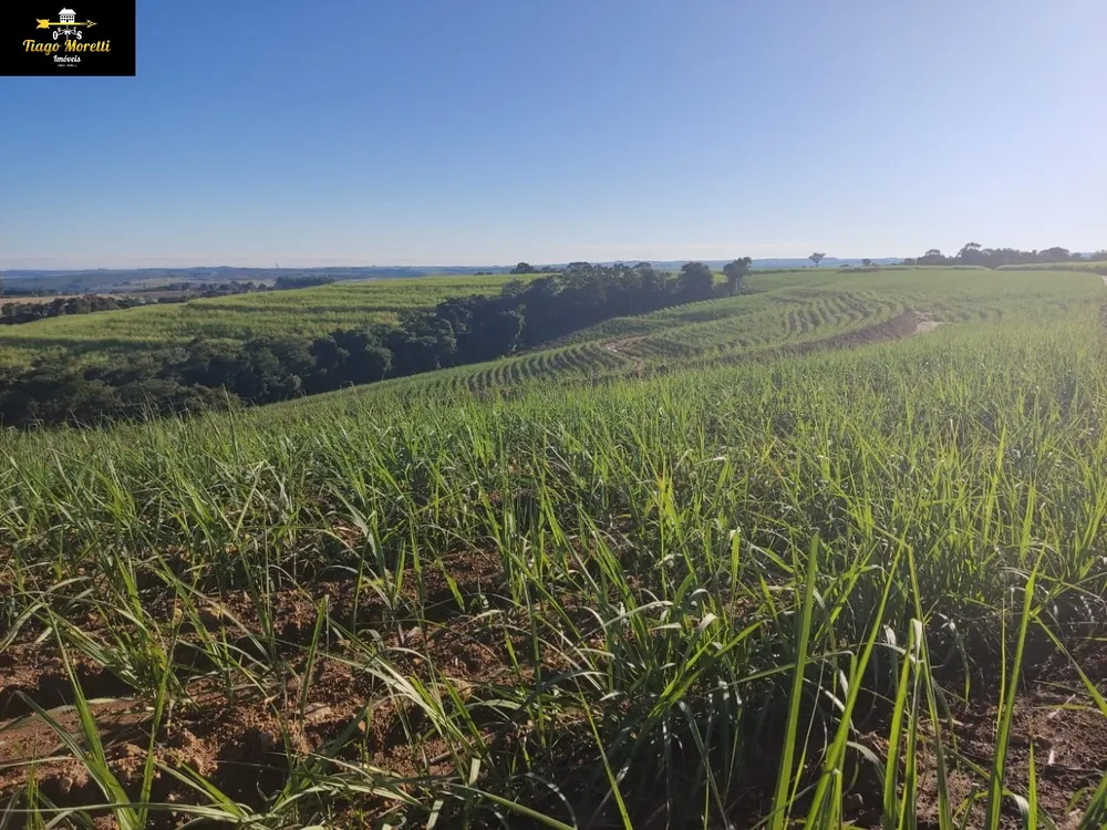 Fazenda - Foto 7