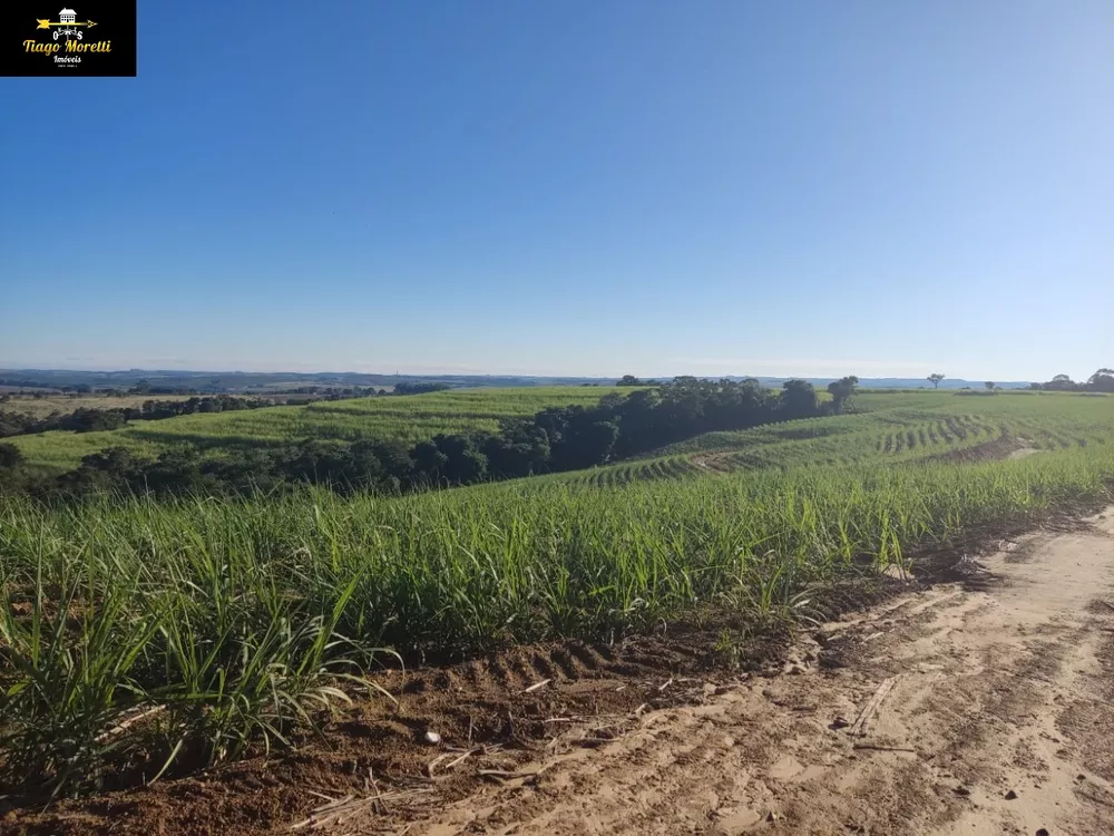 Fazenda - Foto 6