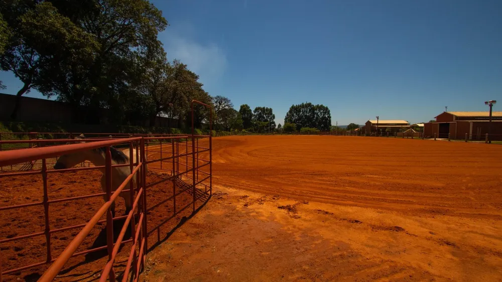 Fazenda, 18 hectares - Foto 12