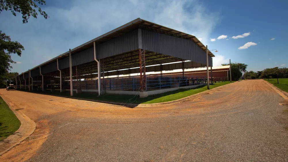 Fazenda, 18 hectares - Foto 3