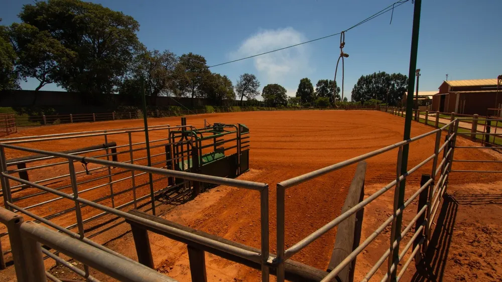 Fazenda, 18 hectares - Foto 14