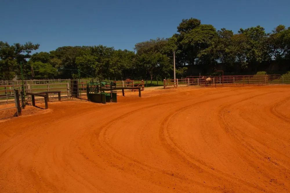 Fazenda, 18 hectares - Foto 13