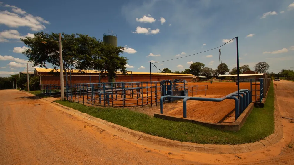 Fazenda, 18 hectares - Foto 8