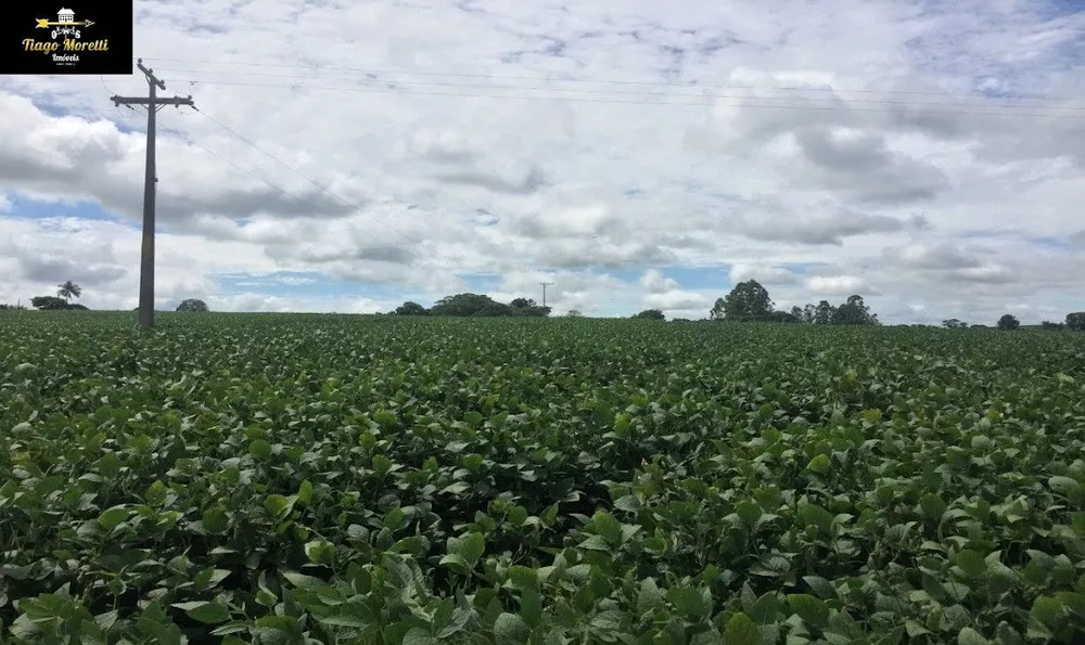 Sítio, 2 quartos, 23 m² - Foto 2