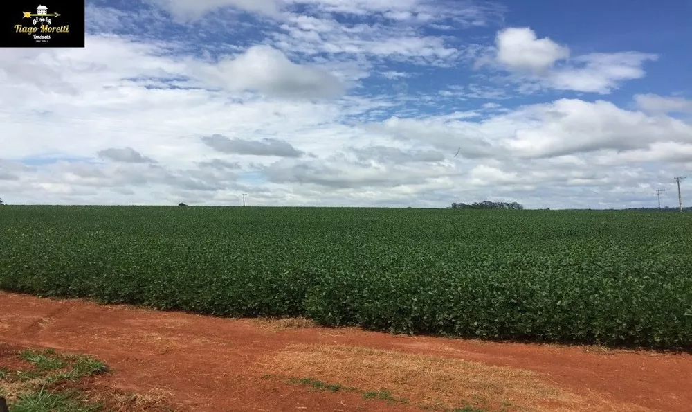 Sítio, 2 quartos, 23 m² - Foto 1