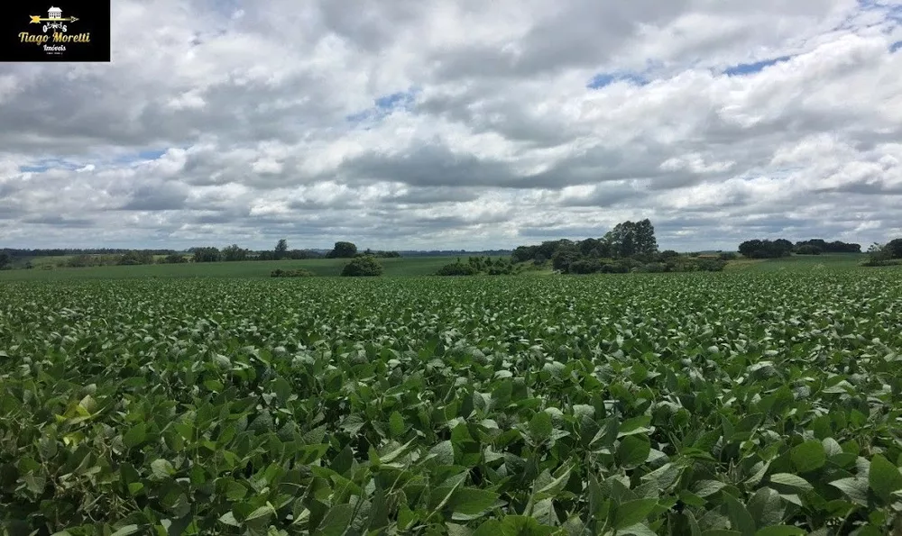 Sítio, 2 quartos, 23 m² - Foto 4