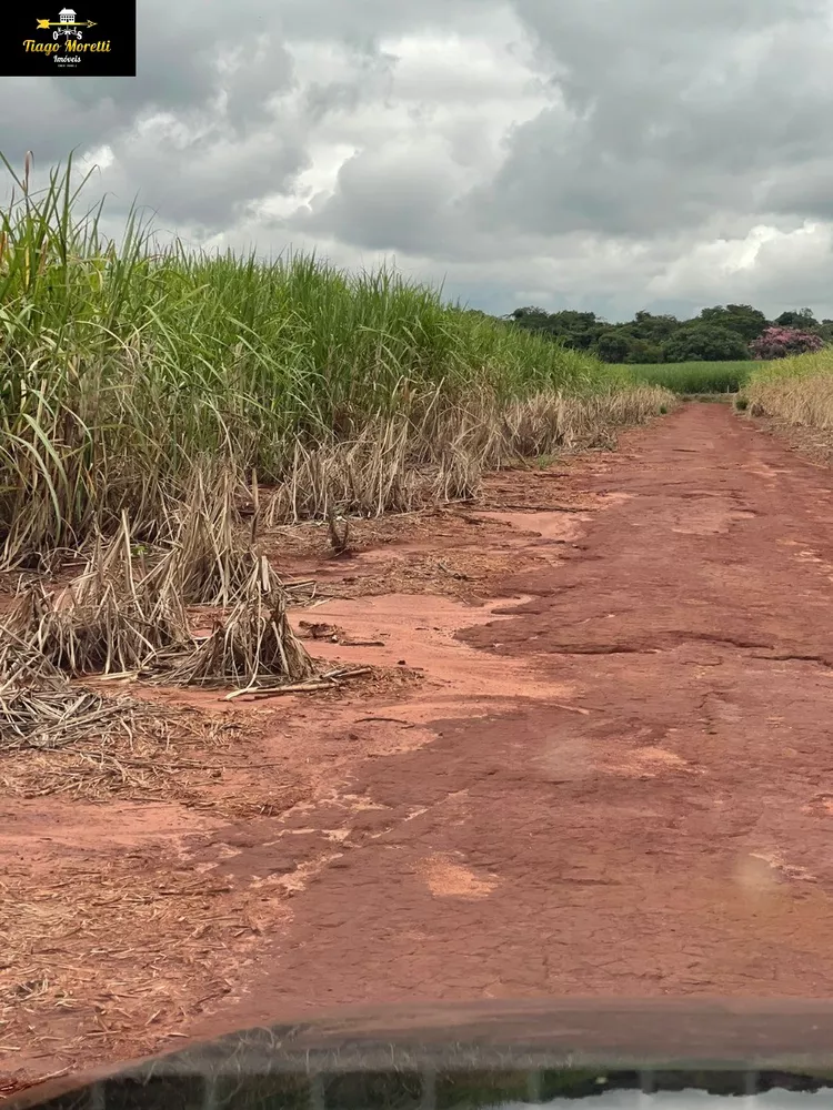 Fazenda - Foto 2