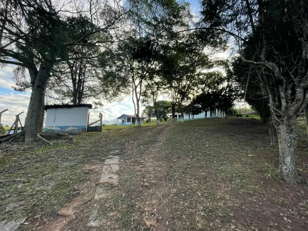 Sítio, 2 quartos, 6 hectares - Foto 17