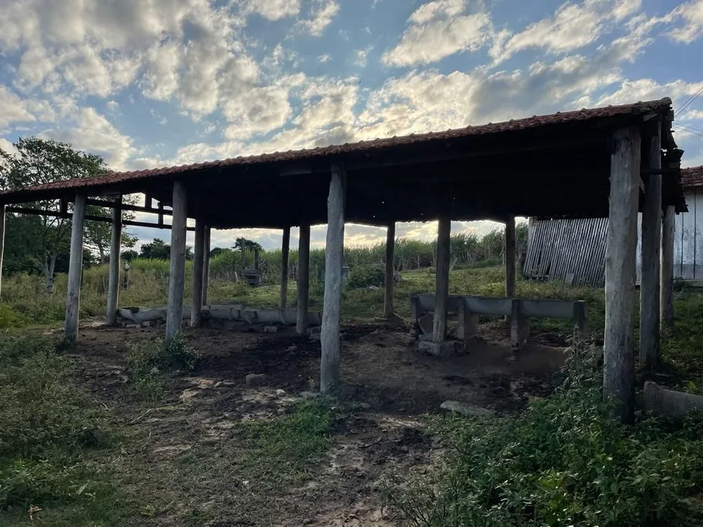 Sítio, 2 quartos, 6 hectares - Foto 15