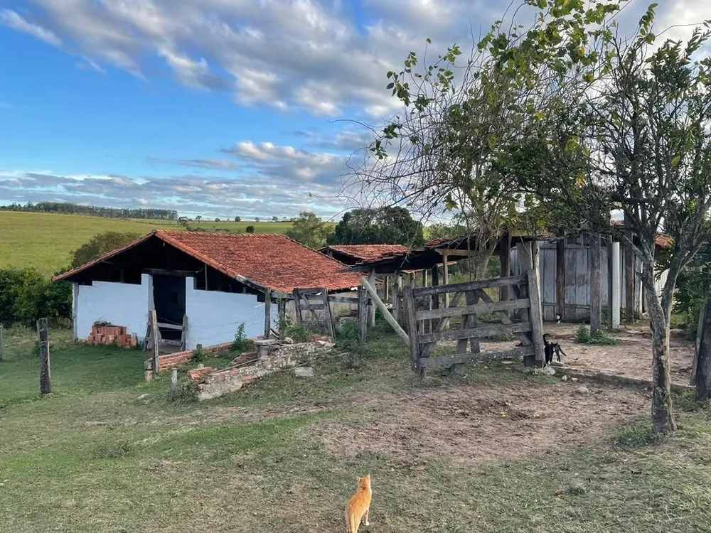 Sítio, 2 quartos, 6 hectares - Foto 12