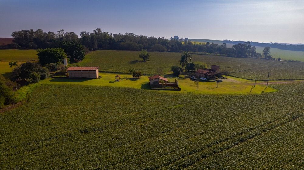 Sítio, 2 quartos, 23 hectares - Foto 17