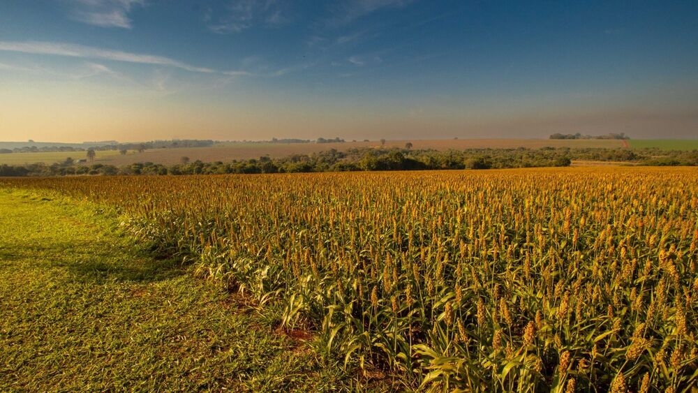 Sítio, 2 quartos, 23 hectares - Foto 16