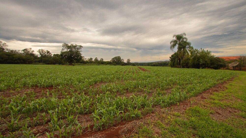 Sítio, 2 quartos, 23 hectares - Foto 21