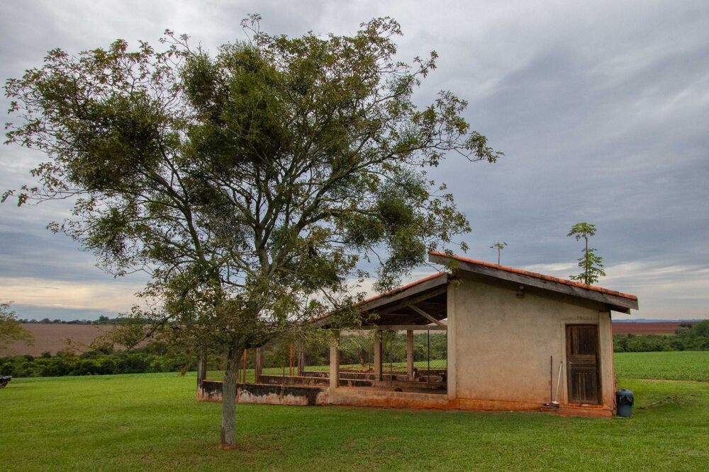 Sítio, 2 quartos, 23 hectares - Foto 11