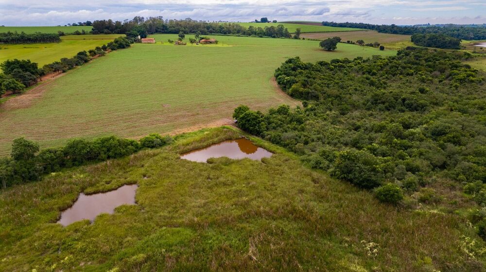 Sítio, 2 quartos, 23 hectares - Foto 18
