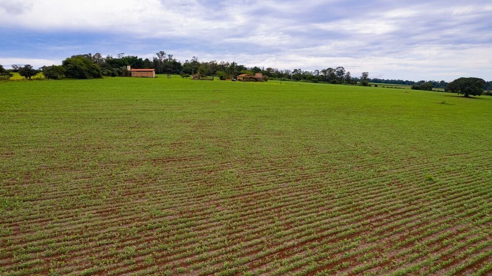 Sítio, 2 quartos, 23 hectares - Foto 20