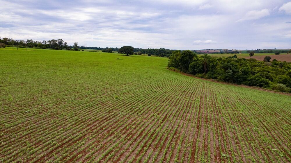 Sítio, 2 quartos, 23 hectares - Foto 19