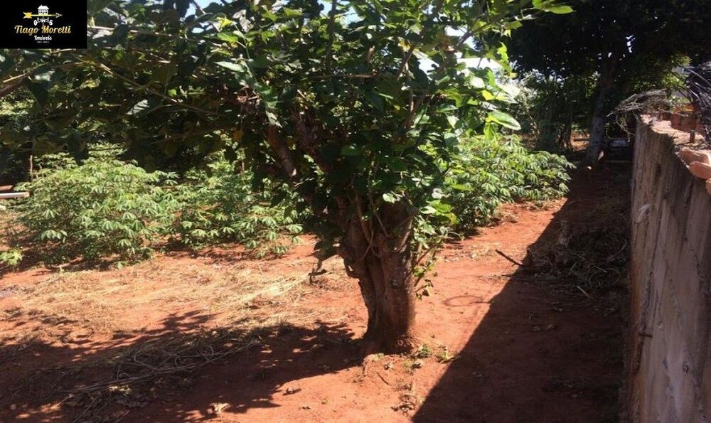 Chácara, 3 quartos, 1200 m² - Foto 38