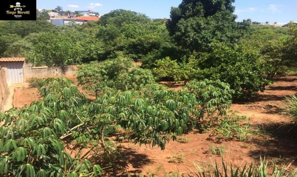 Chácara, 3 quartos, 1200 m² - Foto 28