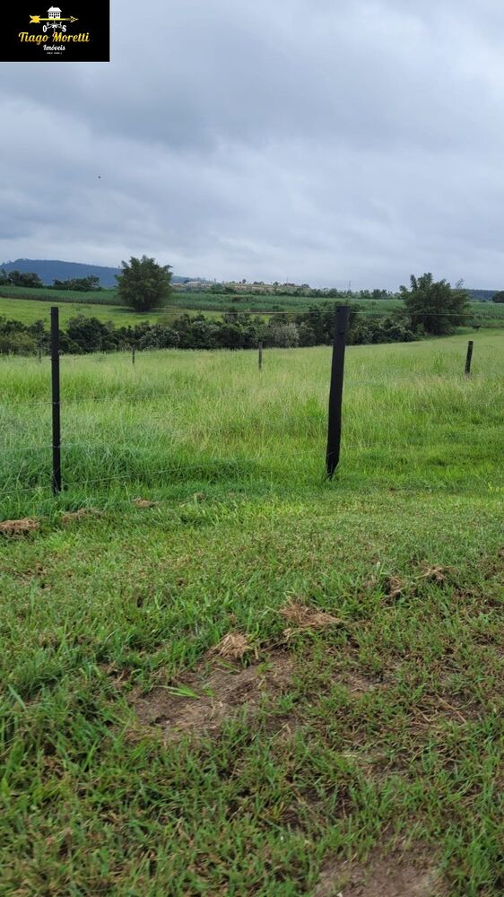 Sítio à venda com 3 quartos - Foto 4