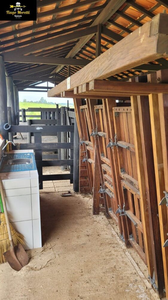 Sítio à venda com 3 quartos - Foto 5
