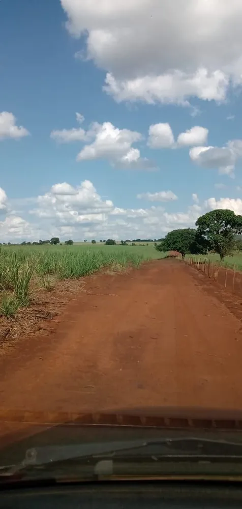 Fazenda, 733 hectares - Foto 10